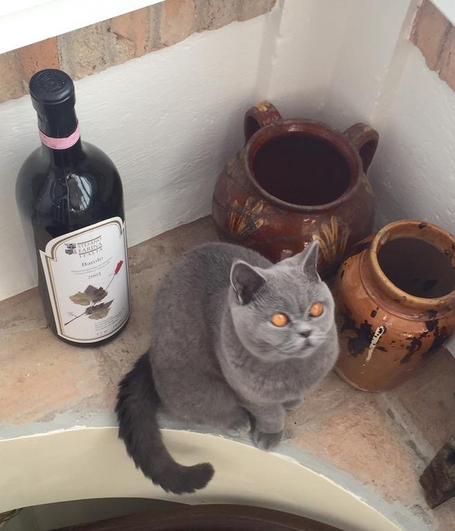 Villa Silvio Civitanova Alta Rum bild
