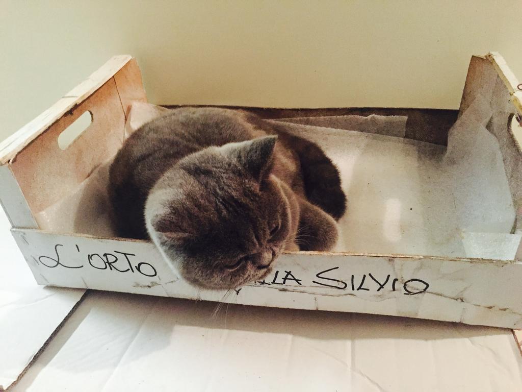 Villa Silvio Civitanova Alta Rum bild
