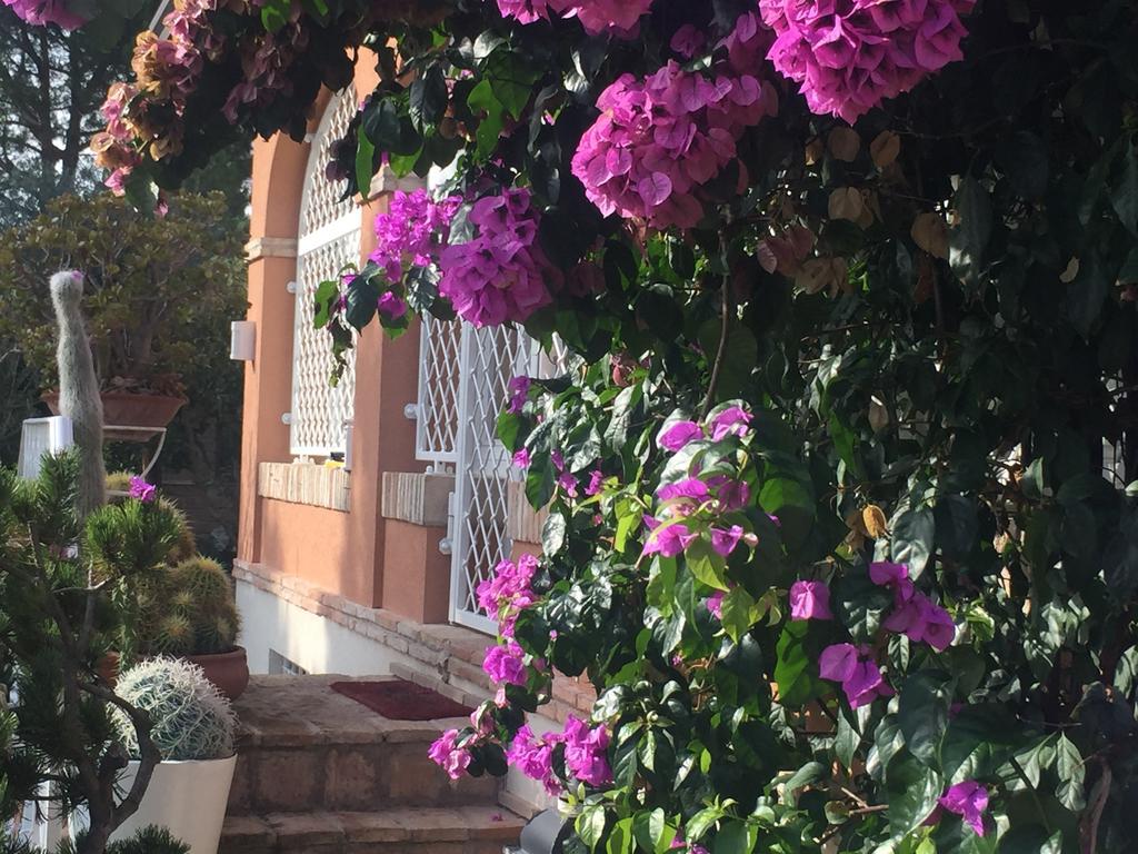 Villa Silvio Civitanova Alta Rum bild