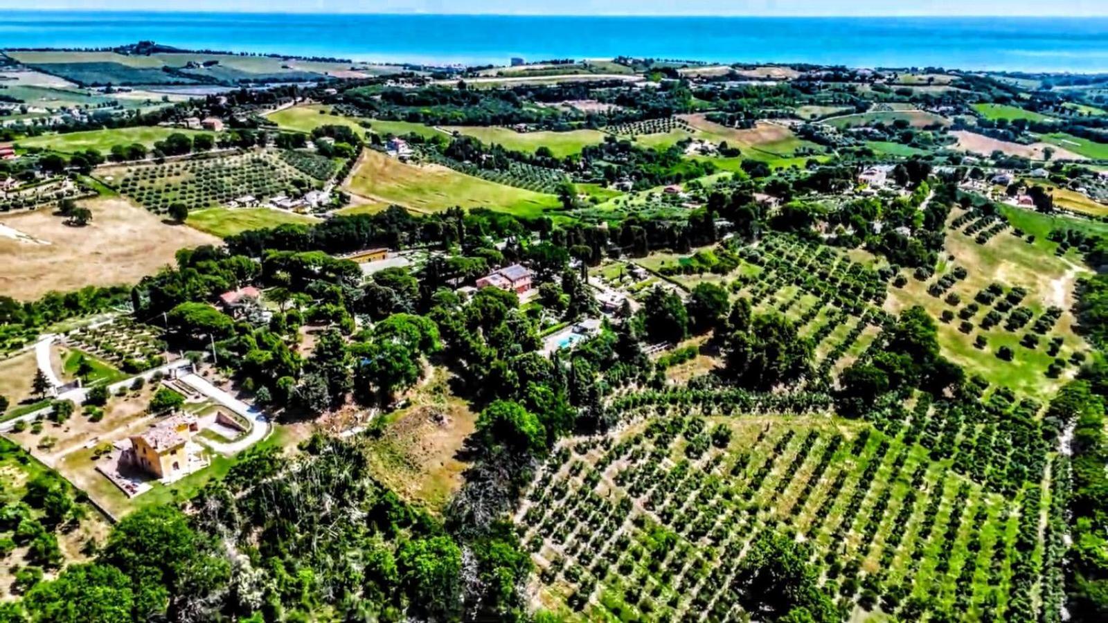 Villa Silvio Civitanova Alta Exteriör bild